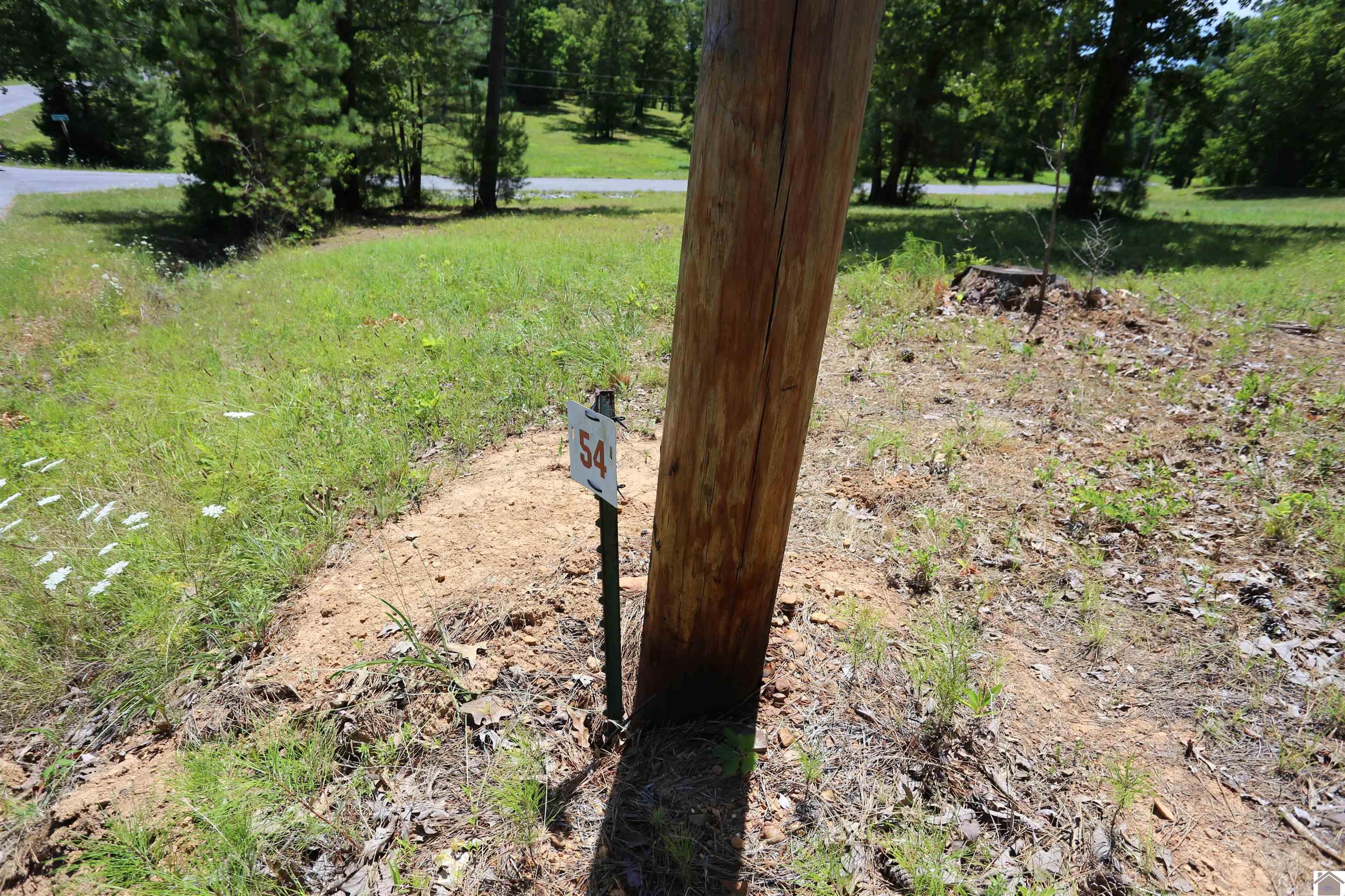 Image 2: Image 2