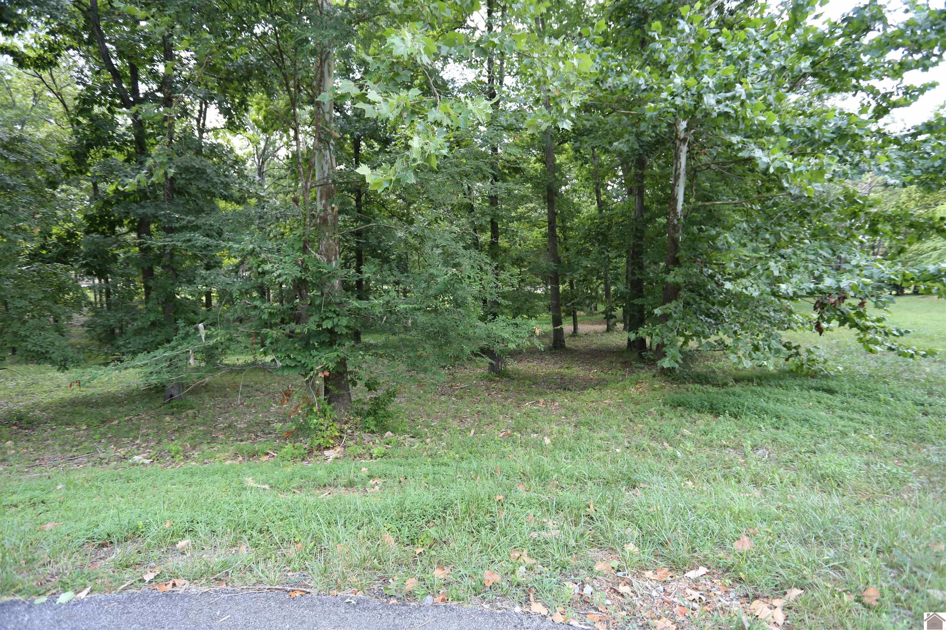 Image 1: Image 1