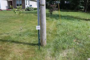 Lot #11 Pine View Drive