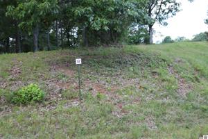 Lot #52 Doe Valley Drive