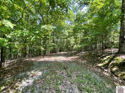 Lot 47 Malcolm's Cove Rd