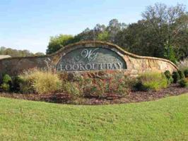 LOT 82 WATERFOWL LANE