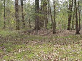 Lot 100 Daniel Boone Drive