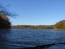 69 Sassafrass