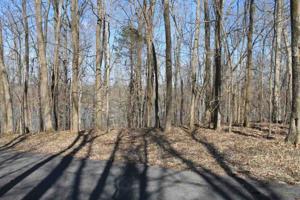 Lot 3 Holiday Acres