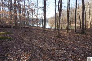 Lot #55 Sawmill