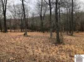 Lot 20 Lillie Lane