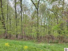 Lot 63 KelseyJo Lane