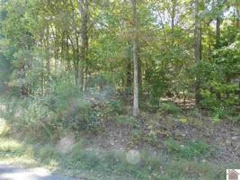 359 Waterway Trail (Lot # 119)