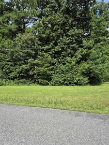 Lot#273 Hawkeye Drive