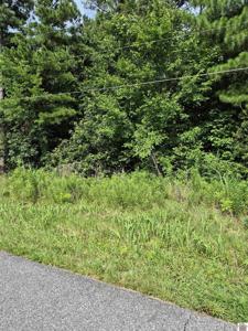 Lot# 297 Southwood Drive