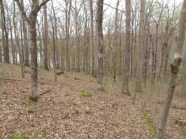 Lot 3 Wycliff Way