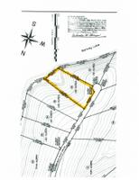 00 Summerfield Drive