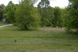 Lot 10 Rock Bowl Springs Road