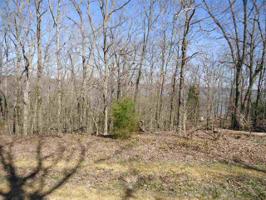 173 midget drive (lots # 406,407)