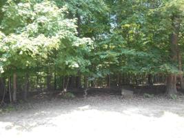 000 Grand View Dr.