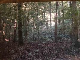 62 Periwinkle Hill Dr