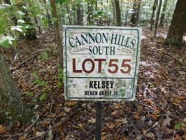 Lot 55 Cannon Hills South