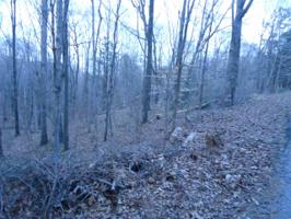 1017 Wildcat Drive Lot# 402