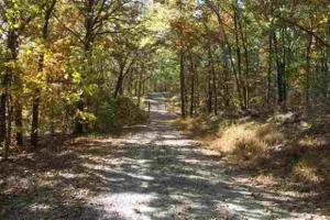 Tract 12 & 13 Dunbar Road