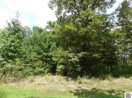 273 Haynes Cemetery Road