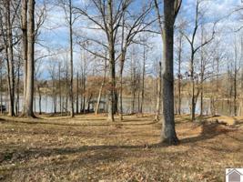 Lot 1A Solomon Dr