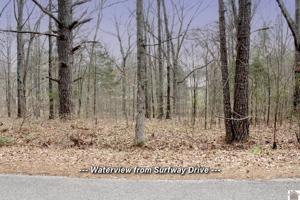 Lots 73 & 74 Surfway Drive