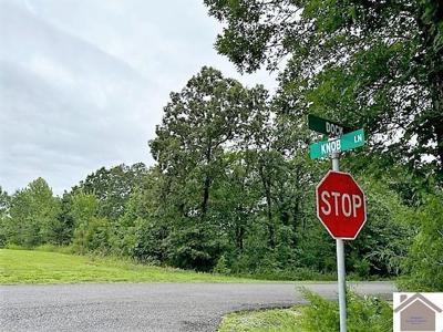 Lots 71, 72, 73 Dock Drive