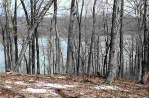LOT 14 WATERFOWL LN