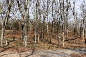 Lot 30 A Waterway Trail