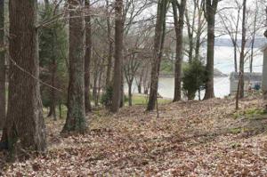 Lot 44 Cherokee Loop