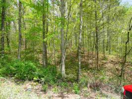 300 Wildcat Drive Lot 191/192