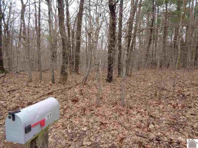 #788 Ridge Road (Lot # 103-F-0005)