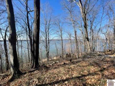 Lot 29 Dixon Lane