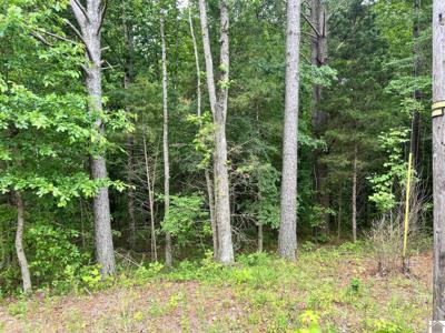 00 Baywood Vista Drive (Lots 96 & 220)