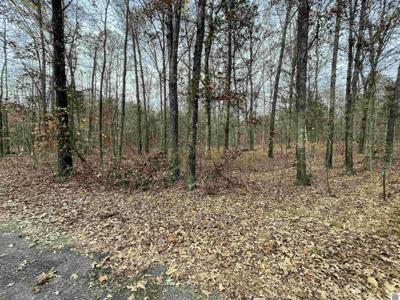 Lots 123 & 124 Kurtz Dr.