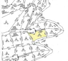 Lot 79 Chirp
