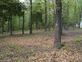 198 Deepwood
