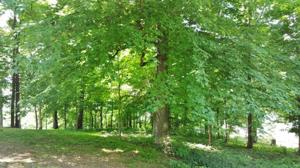 LOT 53 ROLLING MILL RD