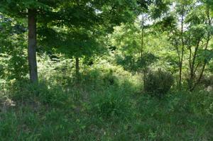 LOT 31 SLOVER TRIANGLE