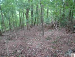 39 Quail Ridge Rd