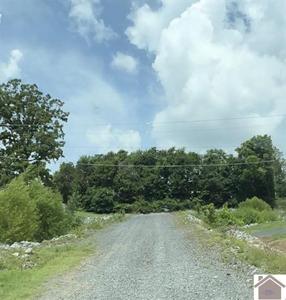 Barkley Drive