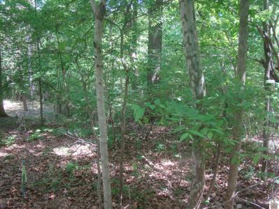 252 Rockcastle Lakeshore Drive