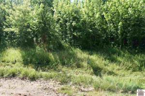 LOT 17 EDEN BAY