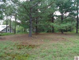 151 Wildcat Drive
