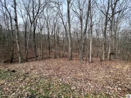 00 Tearose Drive, Lots 810-812