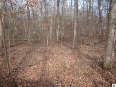 280 Rockcastle Lake Shore Drive