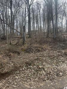 Rockcastle Shores 26 I