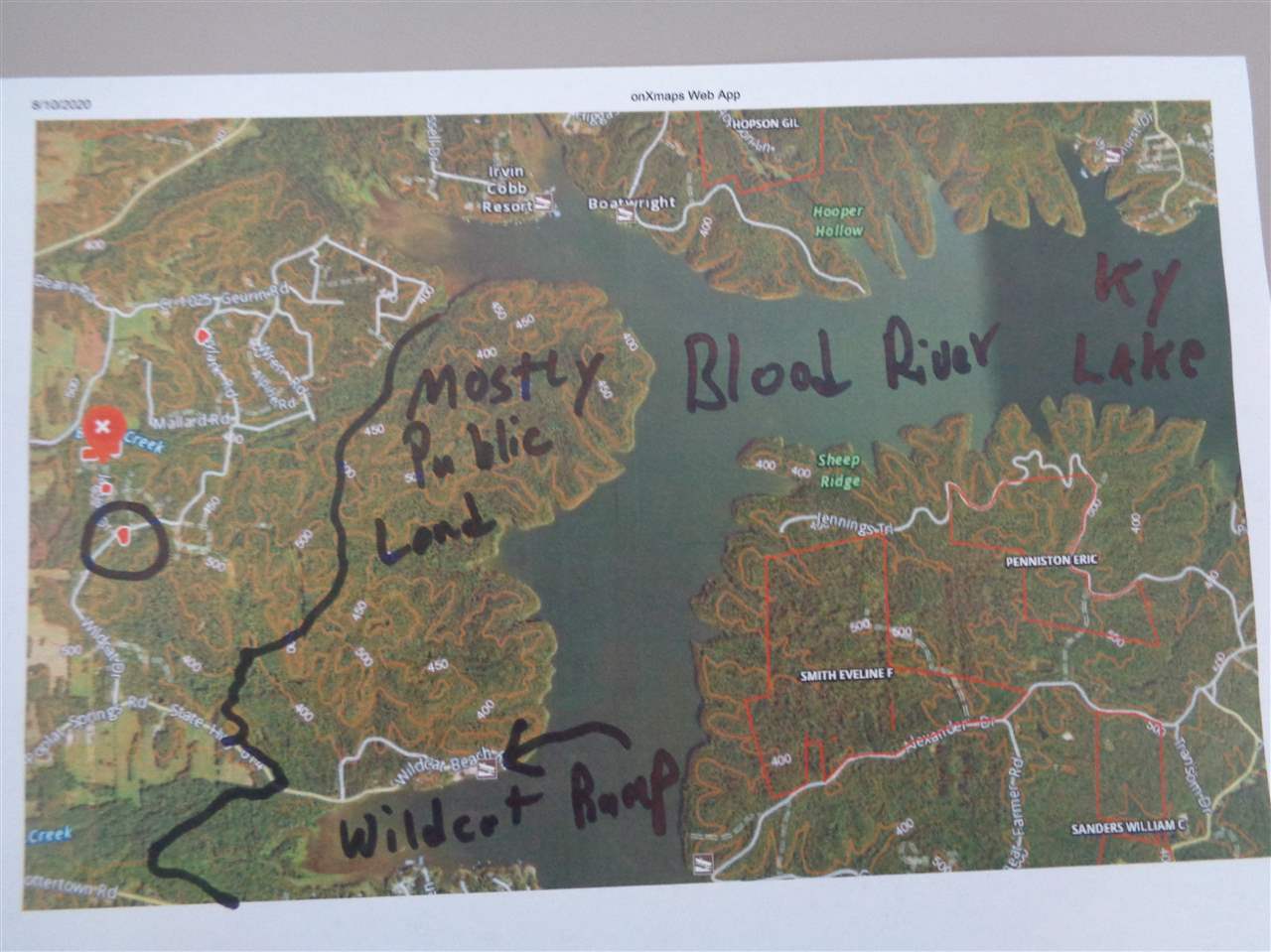 Image 1