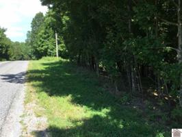 Lot 41 Overlook Dr